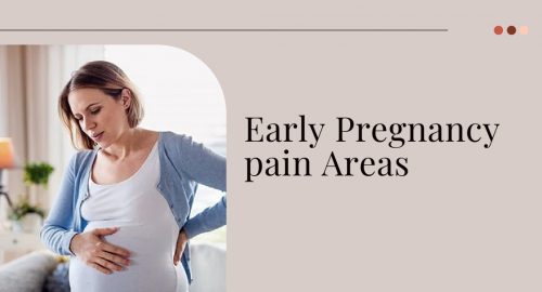 Early-Pregnancy-pain-Areas